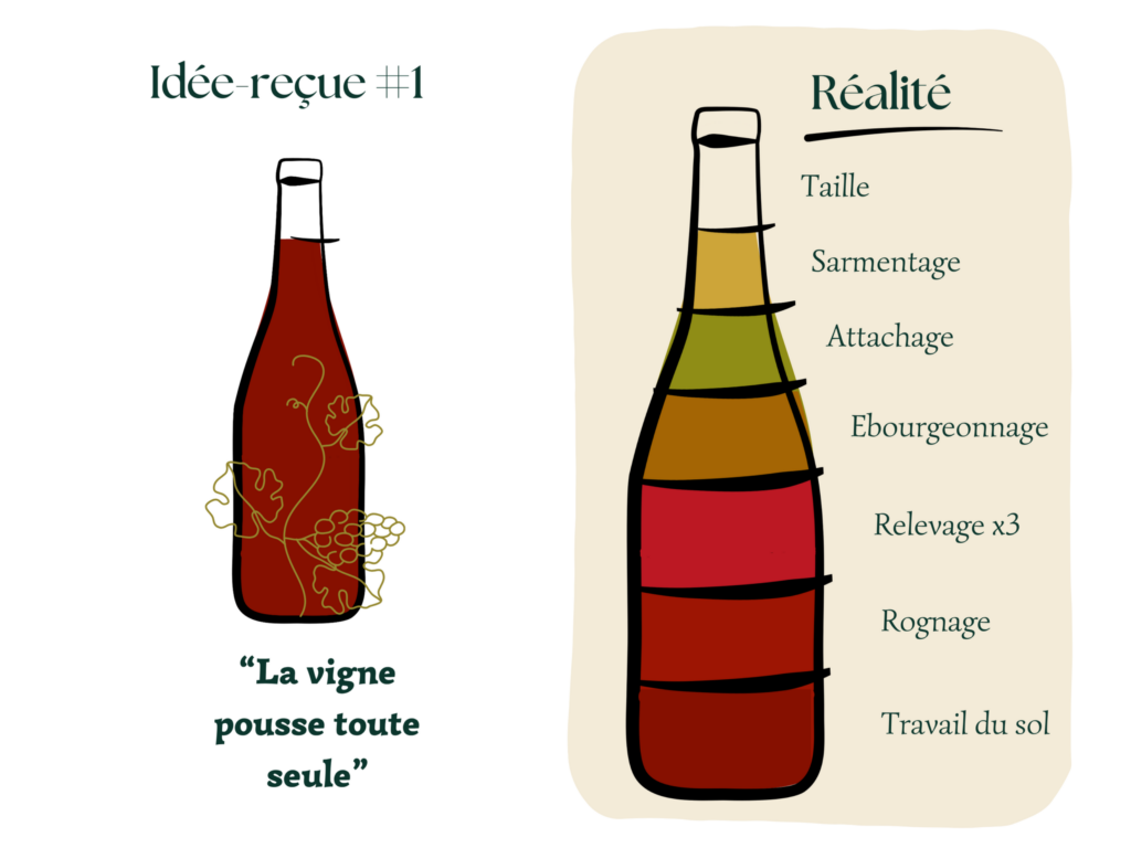 le travail du vigneron