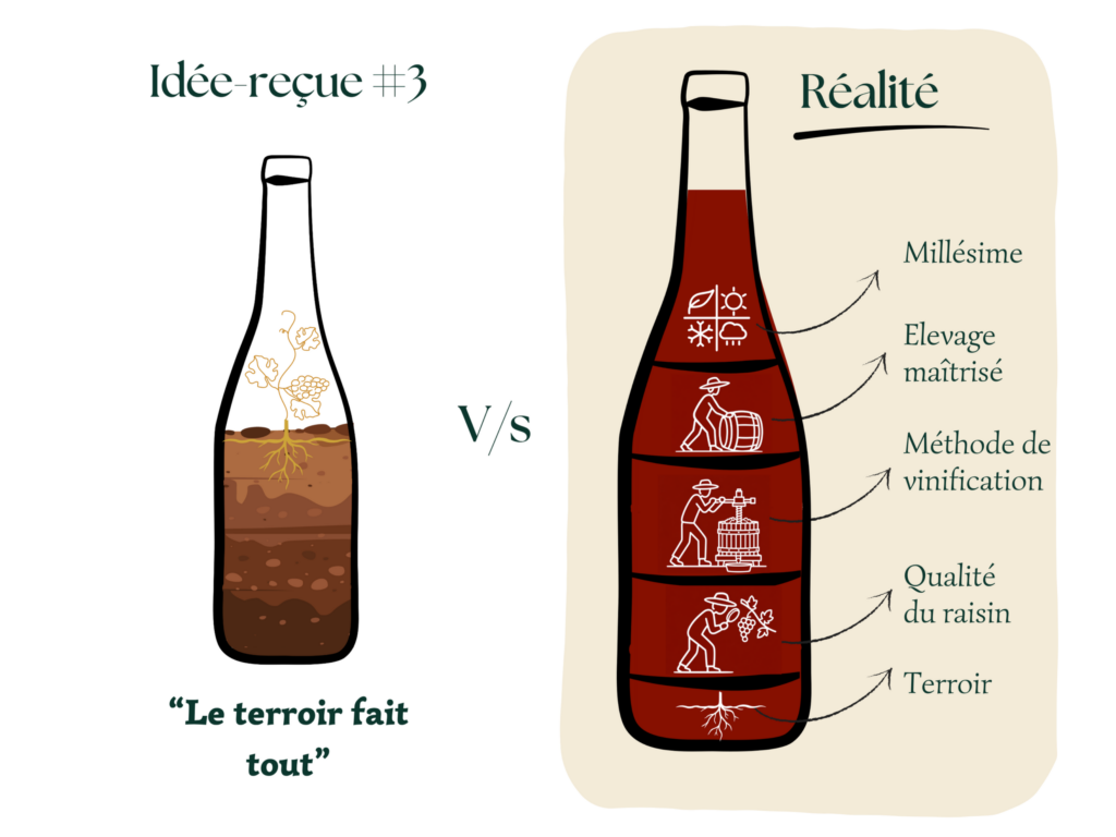 terroir versus vinification